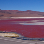 Laguna Colorada