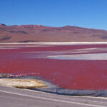 Laguna Colorada