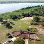 Pantanal