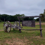 Pantanal